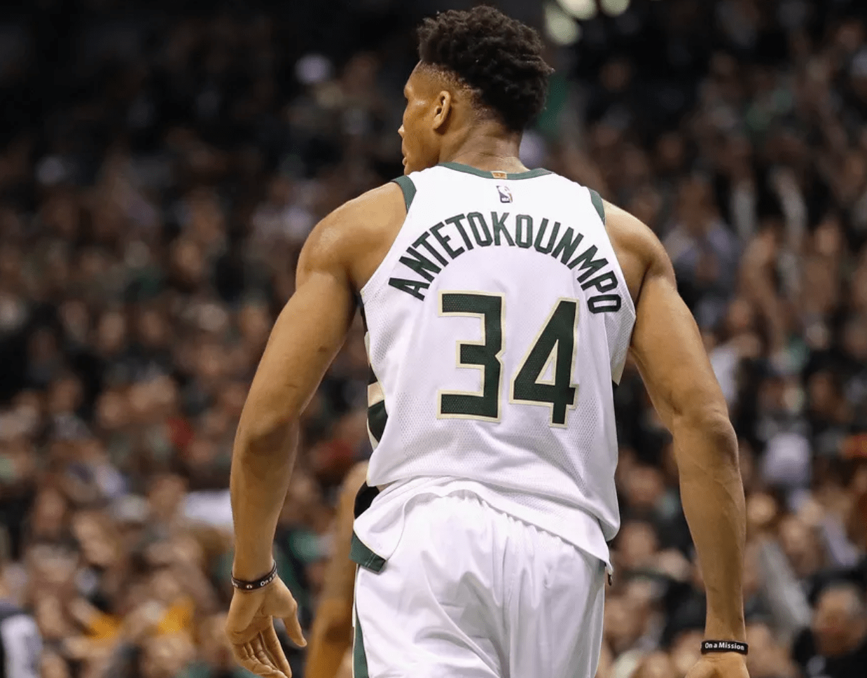 燕子的历史 燕子的历史